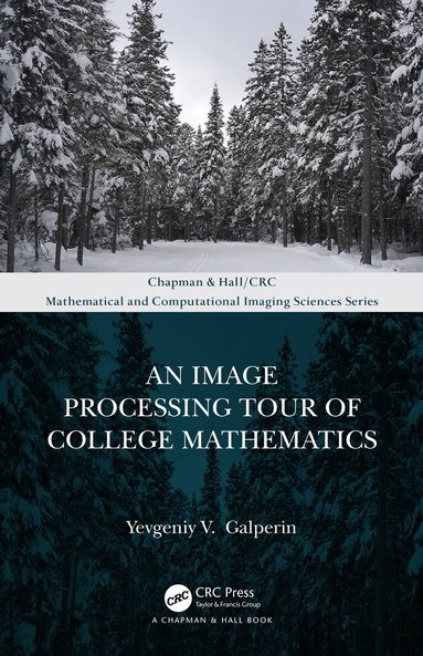Yevgeniy V. Galperin - Image Processing Tour of College Mathematics, Inbunden