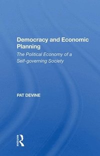 bokomslag Democracy And Economic Planning