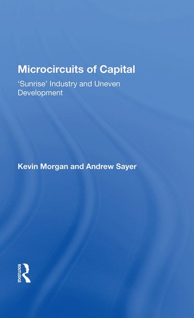 bokomslag Microcircuits of Capital