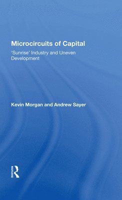 Microcircuits Of Capital 1