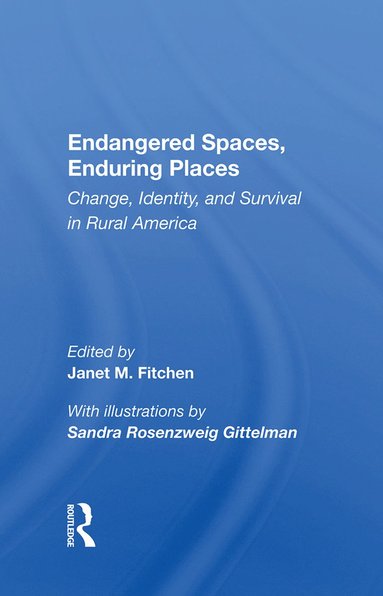 bokomslag Endangered Spaces, Enduring Places