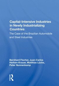 bokomslag Capital-intensive Industries In Newly Industrializing Countries