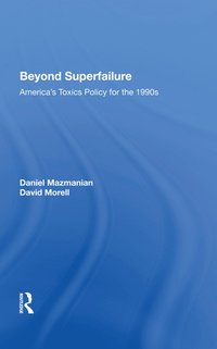 bokomslag Beyond Superfailure