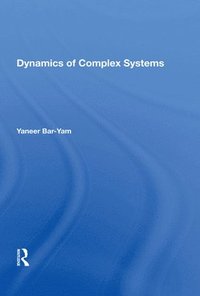 bokomslag Dynamics Of Complex Systems