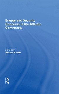 bokomslag Energy and Security Concerns in the Atlantic Community