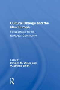bokomslag Cultural Change And The New Europe