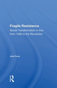 bokomslag Fragile Resistance