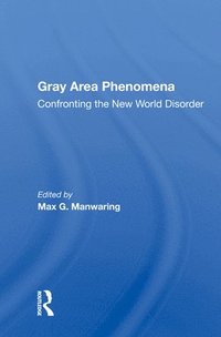 bokomslag Gray Area Phenomena