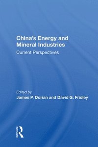 bokomslag China's Energy and Mineral Industries