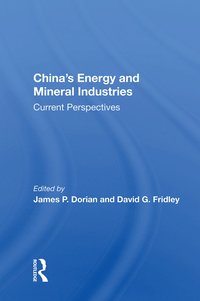 bokomslag China's Energy And Mineral Industries