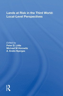 bokomslag Lands at Risk in the Third World: Local-Level Perspectives