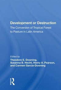 bokomslag Development Or Destruction
