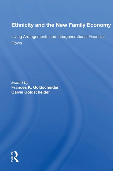 bokomslag Ethnicity and the New Family Economy