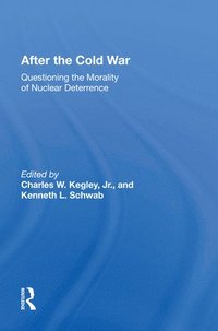 bokomslag After The Cold War