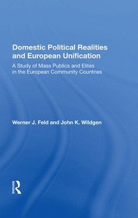 bokomslag Domestic Political Realities and European Unification