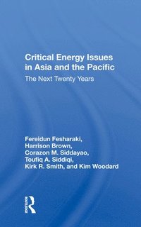 bokomslag Critical Energy Issues In Asia And The Pacific