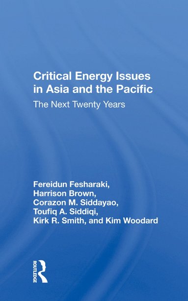 bokomslag Critical Energy Issues In Asia And The Pacific