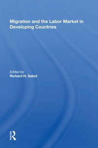 bokomslag Migration And The Labor Market In Developing Countries