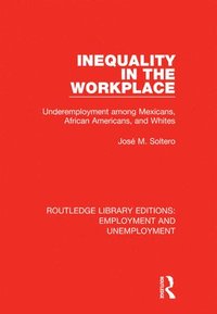 bokomslag Inequality in the Workplace