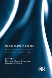 bokomslag Human Rights in Business
