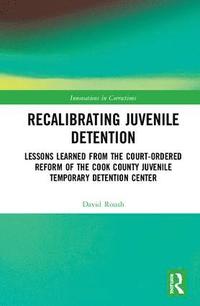 bokomslag Recalibrating Juvenile Detention