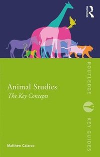 bokomslag Animal Studies