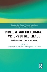 bokomslag Biblical and Theological Visions of Resilience