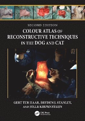 bokomslag Colour Atlas of Reconstructive Techniques in the Dog and Cat