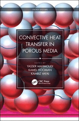 Convective Heat Transfer in Porous Media 1