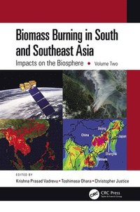 bokomslag Biomass Burning in South and Southeast Asia