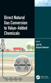 bokomslag Direct Natural Gas Conversion to Value-Added Chemicals
