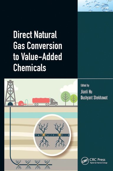 bokomslag Direct Natural Gas Conversion to Value-Added Chemicals