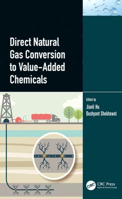Jianli Hu, Dushyant Shekhawat, Dushyant (U.S. Department of Energy) Shekhawat - Direct Natural Gas Conversion to Value-Added Chemicals, Inbunden