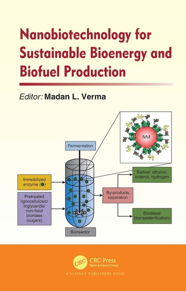 bokomslag Nanobiotechnology for Sustainable Bioenergy and Biofuel Production