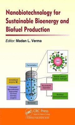 Nanobiotechnology for Sustainable Bioenergy and Biofuel Production 1