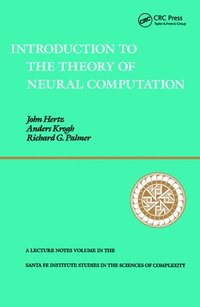 bokomslag Introduction To The Theory Of Neural Computation