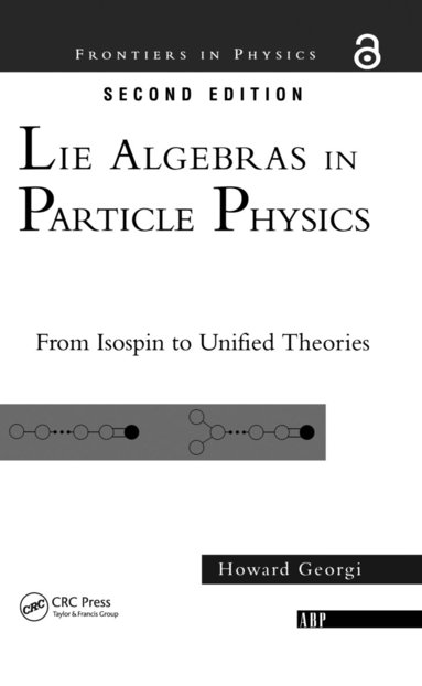 bokomslag Lie Algebras In Particle Physics