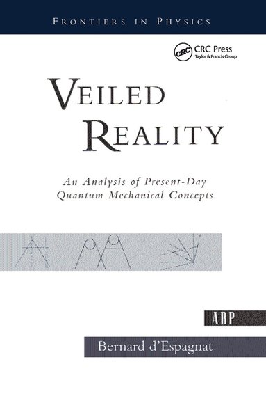 bokomslag Veiled Reality