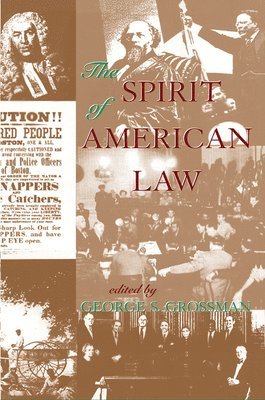 bokomslag The Spirit Of American Law