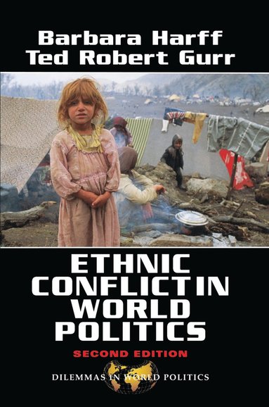 bokomslag Ethnic Conflict In World Politics