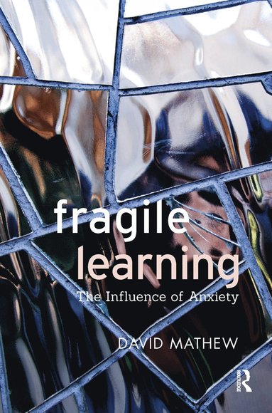 bokomslag Fragile Learning