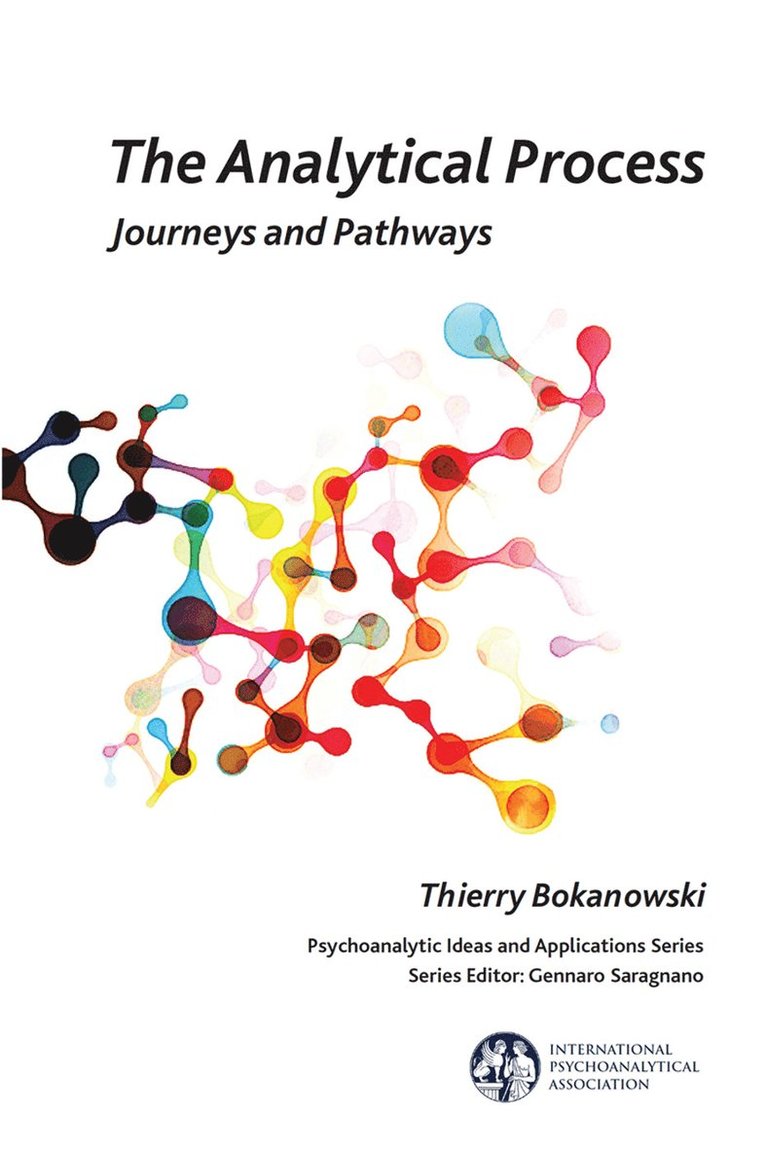 Thierry Bokanowski - Analytical Process, Inbunden