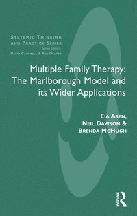 bokomslag Multiple Family Therapy