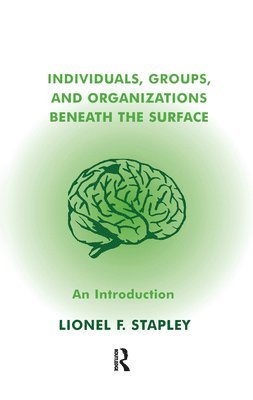 Individuals, Groups and Organizations Beneath the Surface 1