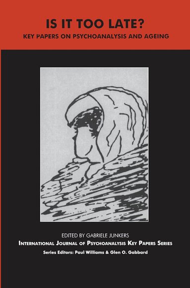 Gabriele Junkers, Gabriele Junkers - Is It Too Late?, Inbunden