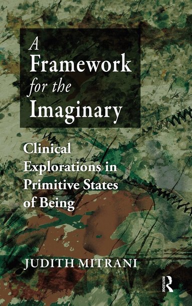 Judith L. Mitrani - Framework for the Imaginary, Inbunden