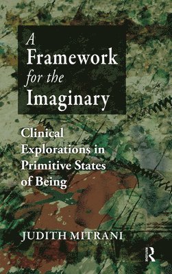 Judith L. Mitrani - Framework for the Imaginary, Inbunden