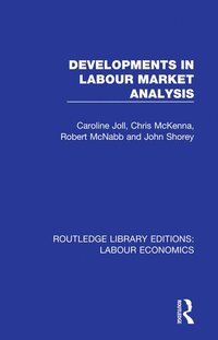 bokomslag Developments in Labour Market Analysis