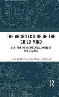 bokomslag The Architecture of the Child Mind
