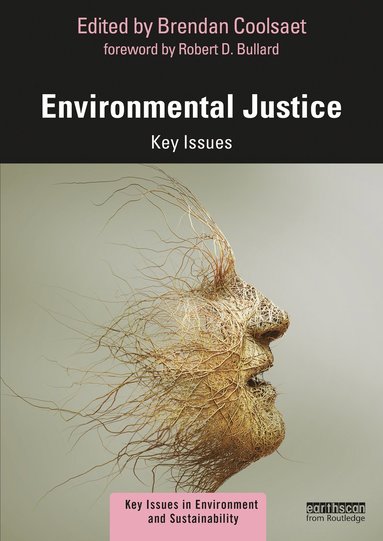 bokomslag Environmental Justice